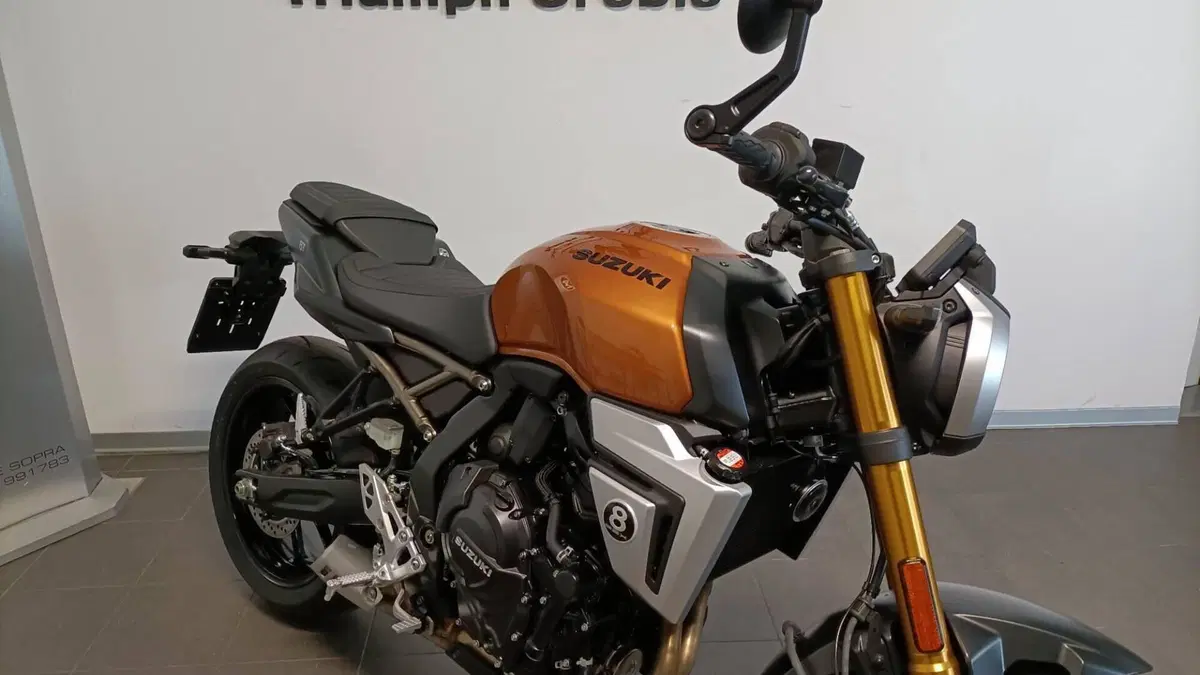 Suzuki GSX-8T (2025 - 26)  (6)