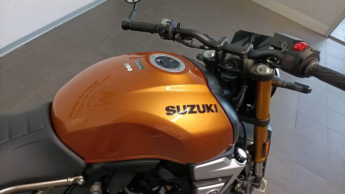 Suzuki GSX-8T (2025 - 26)  (7)