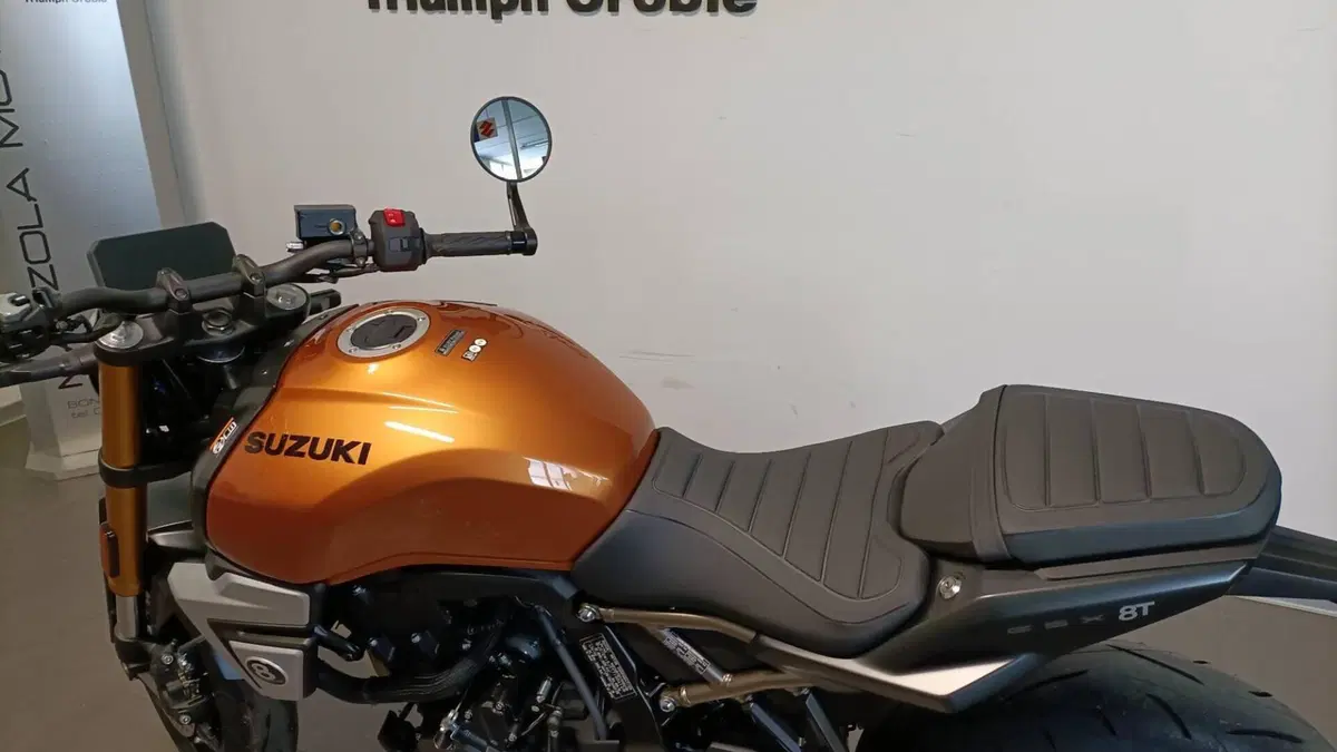 Suzuki GSX-8T (2025 - 26)  (8)