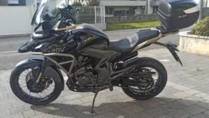 Zontes ZT350-T2 (2022 - 25)  (7)