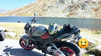 Suzuki GSR 600 (2006 - 11) usata