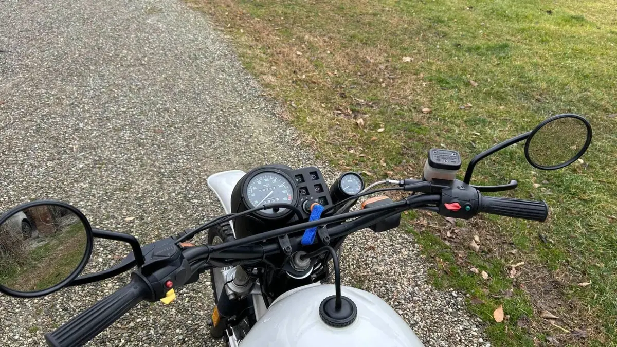 Bmw   (5)