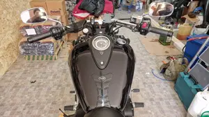 Triumph Thunderbird Storm 1700 (2010 - 16)  (5)