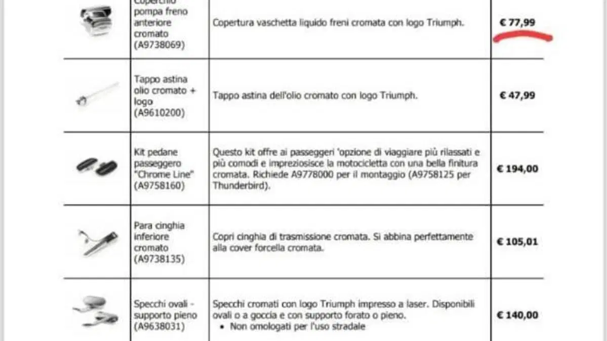 Triumph Thunderbird Storm 1700 (2010 - 16)  (14)