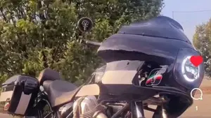 Moto Guzzi Bellagio (2007 - 14)  (5)