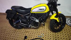 Ducati Scrambler 800 Icon (2021 - 22) 