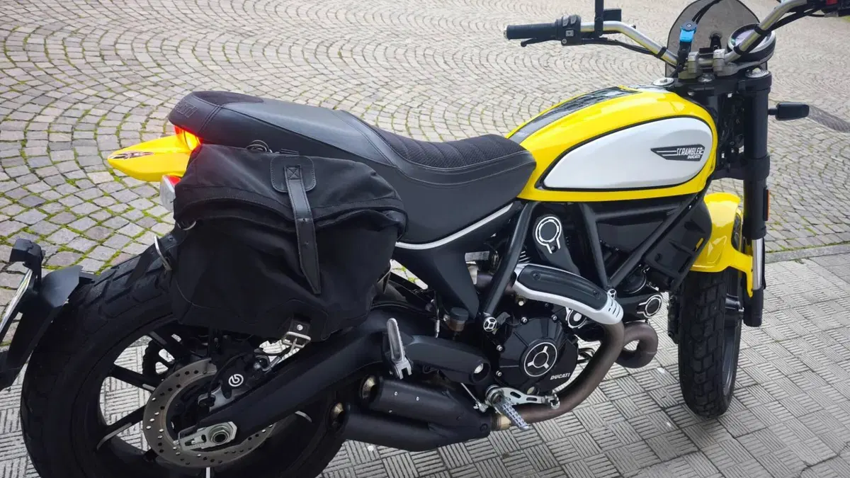 Ducati Scrambler 800 Icon (2021 - 22)  (2)