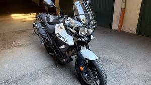 Triumph Tiger 800 XR (2017 - 18) 