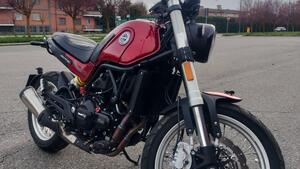 Benelli Leoncino 500 Trail (2021 - 26) 