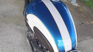 Triumph Bonneville T120 (2021 - 25) 