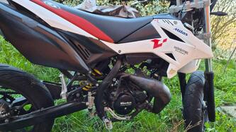 Betamotor RR 50 Motard (2013) usata