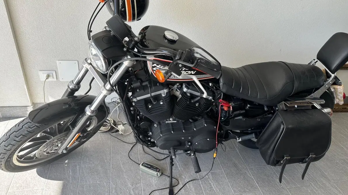 Harley-Davidson 883 (2008 - 09) - XL 