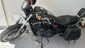 Harley-Davidson 883 (2008 - 09) - XL 