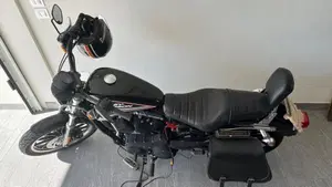 Harley-Davidson 883 (2008 - 09) - XL  (3)
