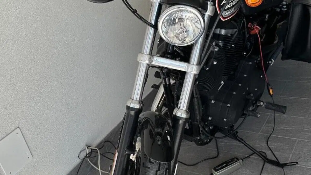 Harley-Davidson 883 (2008 - 09) - XL  (5)