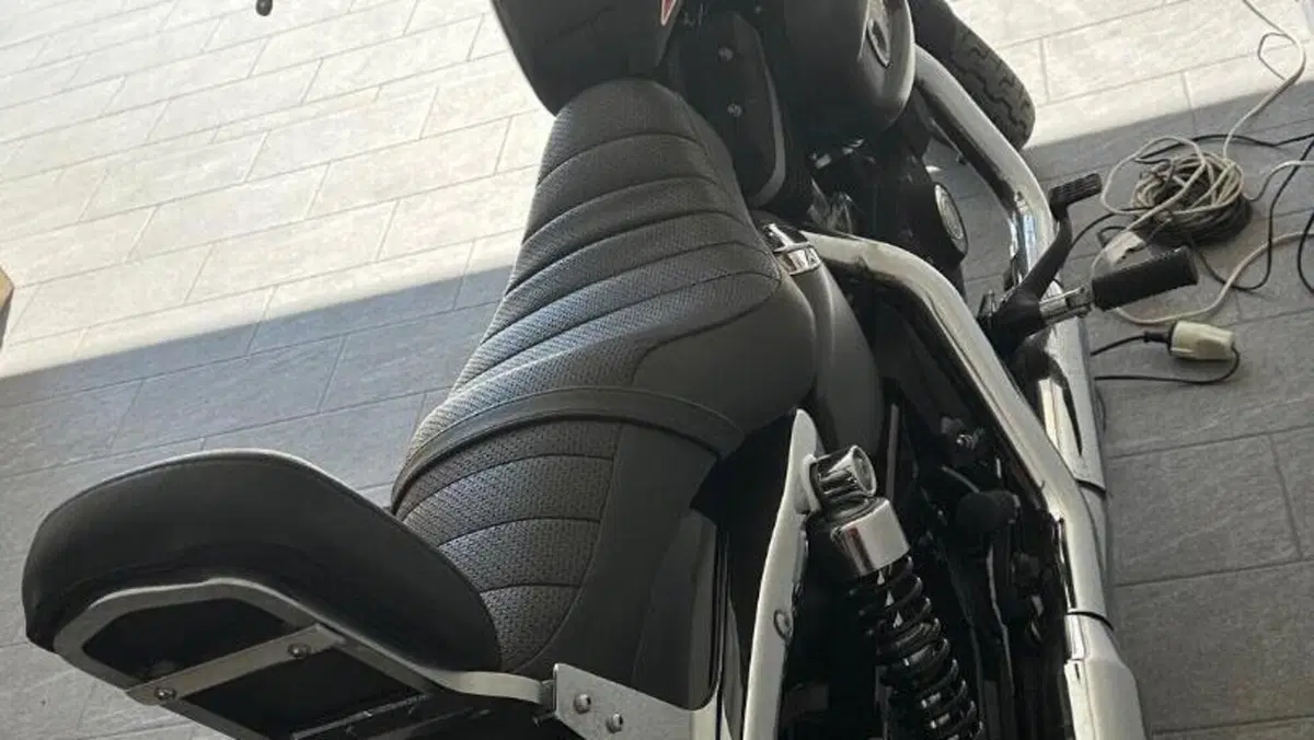 Harley-Davidson 883 (2008 - 09) - XL  (6)