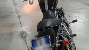 Harley-Davidson 883 (2006 - 07) - XL  (3)