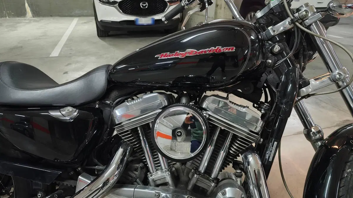 Harley-Davidson 883 (2006 - 07) - XL  (6)