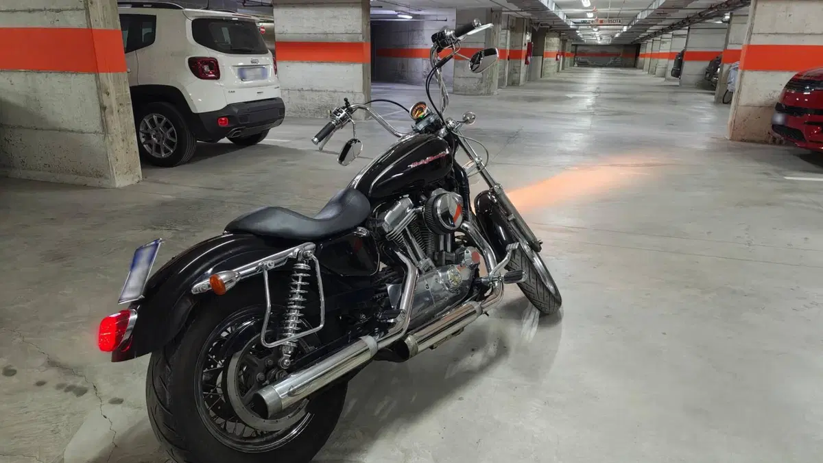 Harley-Davidson 883 (2006 - 07) - XL  (7)