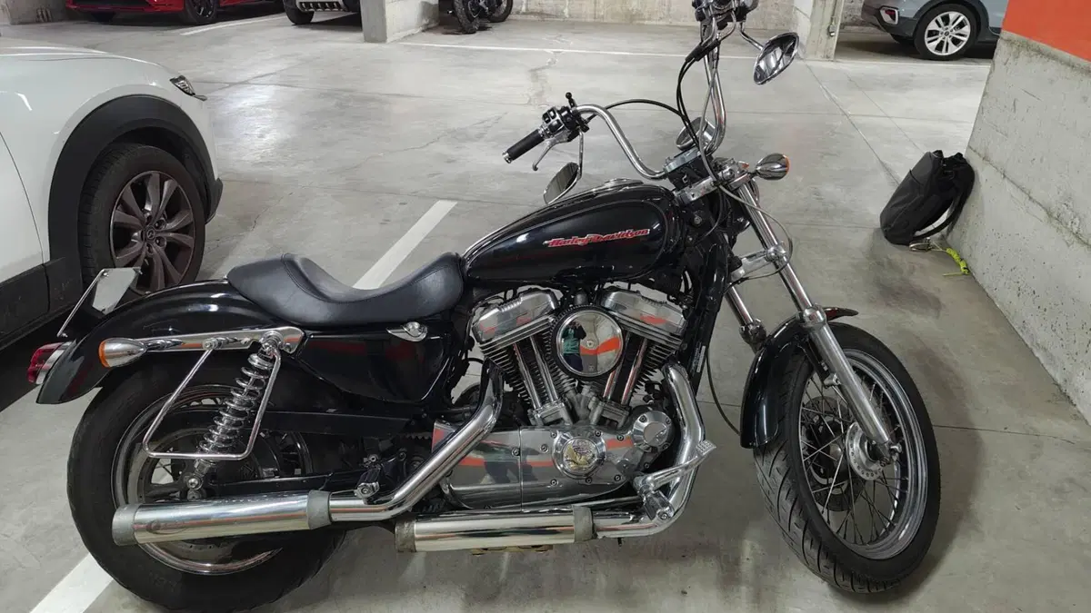 Harley-Davidson 883 (2006 - 07) - XL  (9)