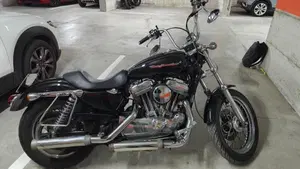 Harley-Davidson 883 (2006 - 07) - XL  (9)