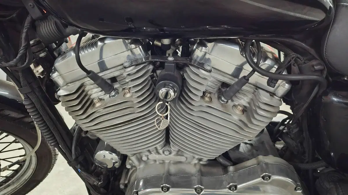 Harley-Davidson 883 (2006 - 07) - XL  (10)