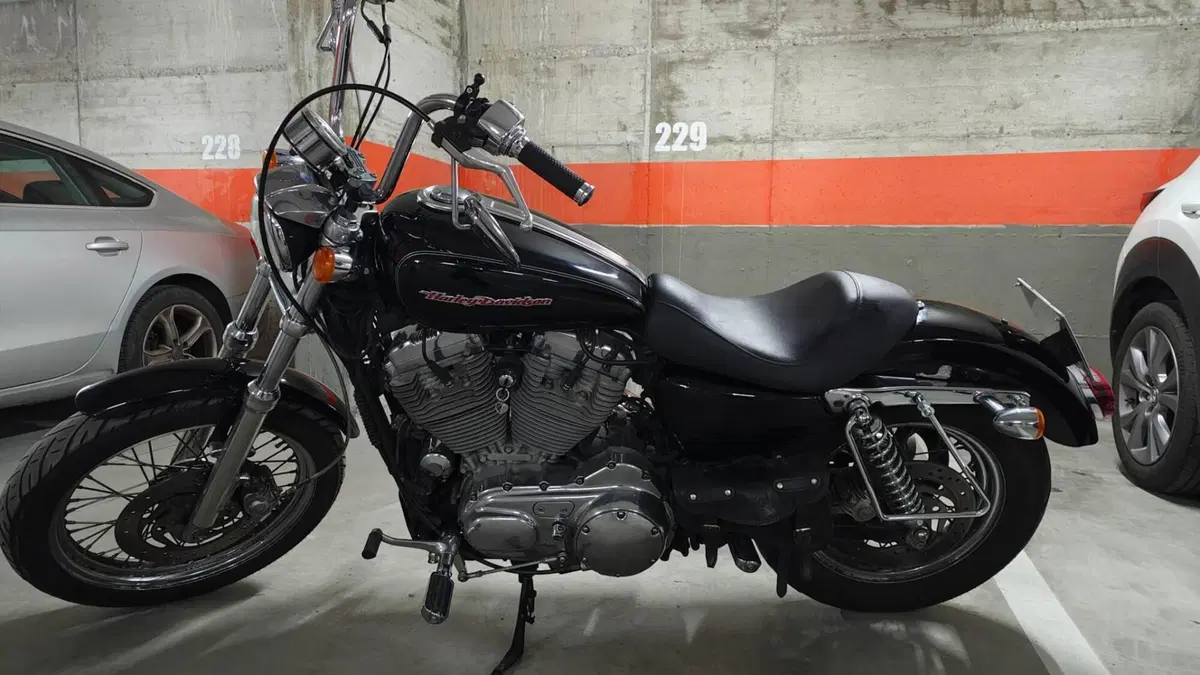 Harley-Davidson 883 (2006 - 07) - XL  (11)