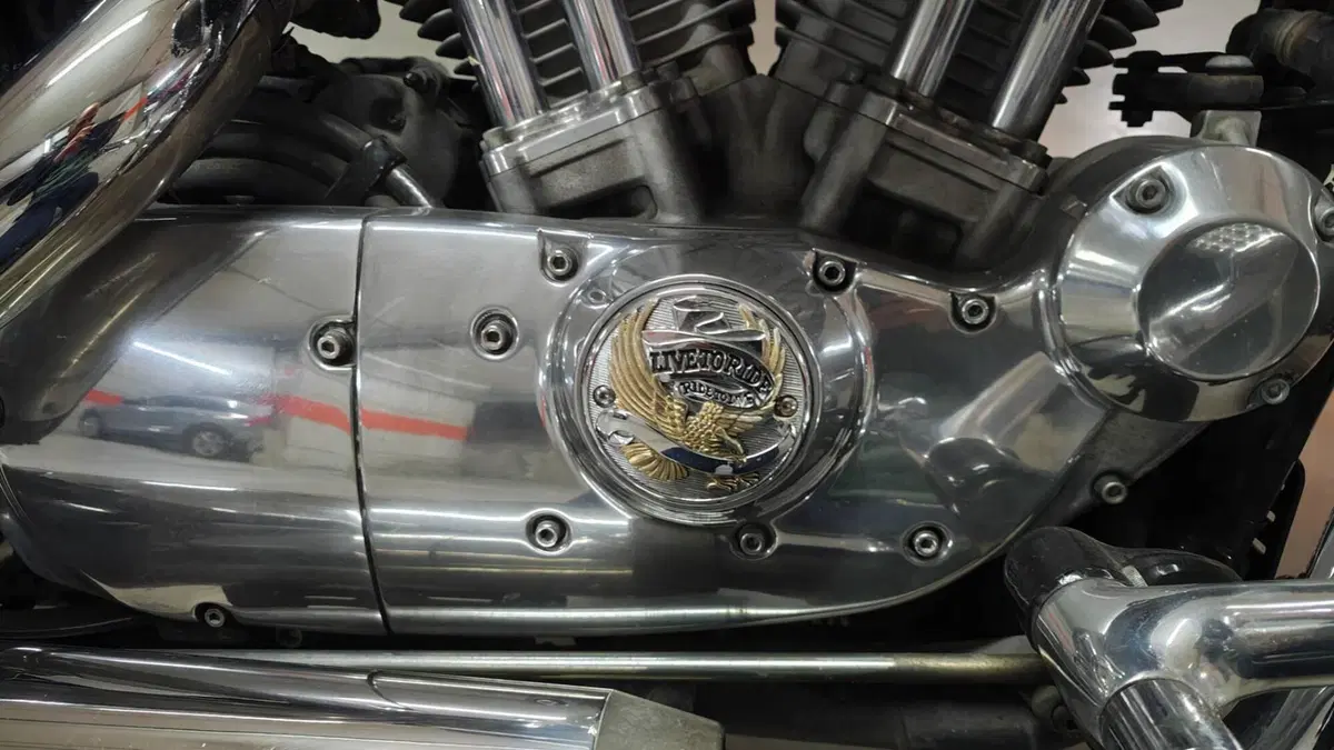 Harley-Davidson 883 (2006 - 07) - XL  (14)
