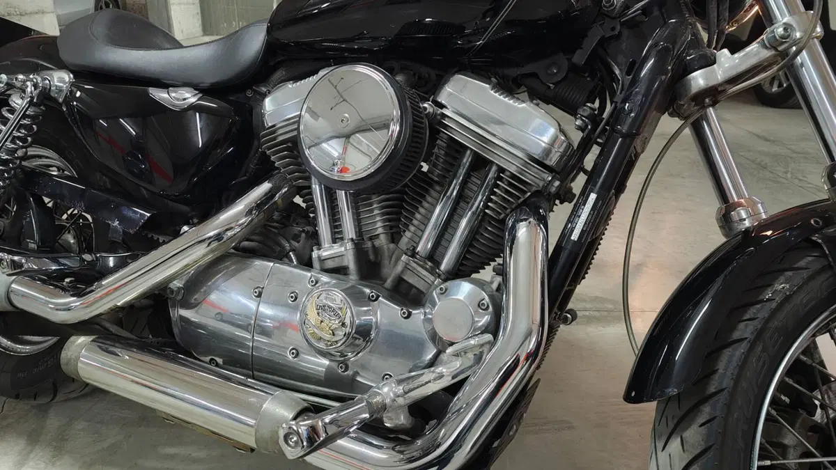 Harley-Davidson 883 (2006 - 07) - XL  (17)