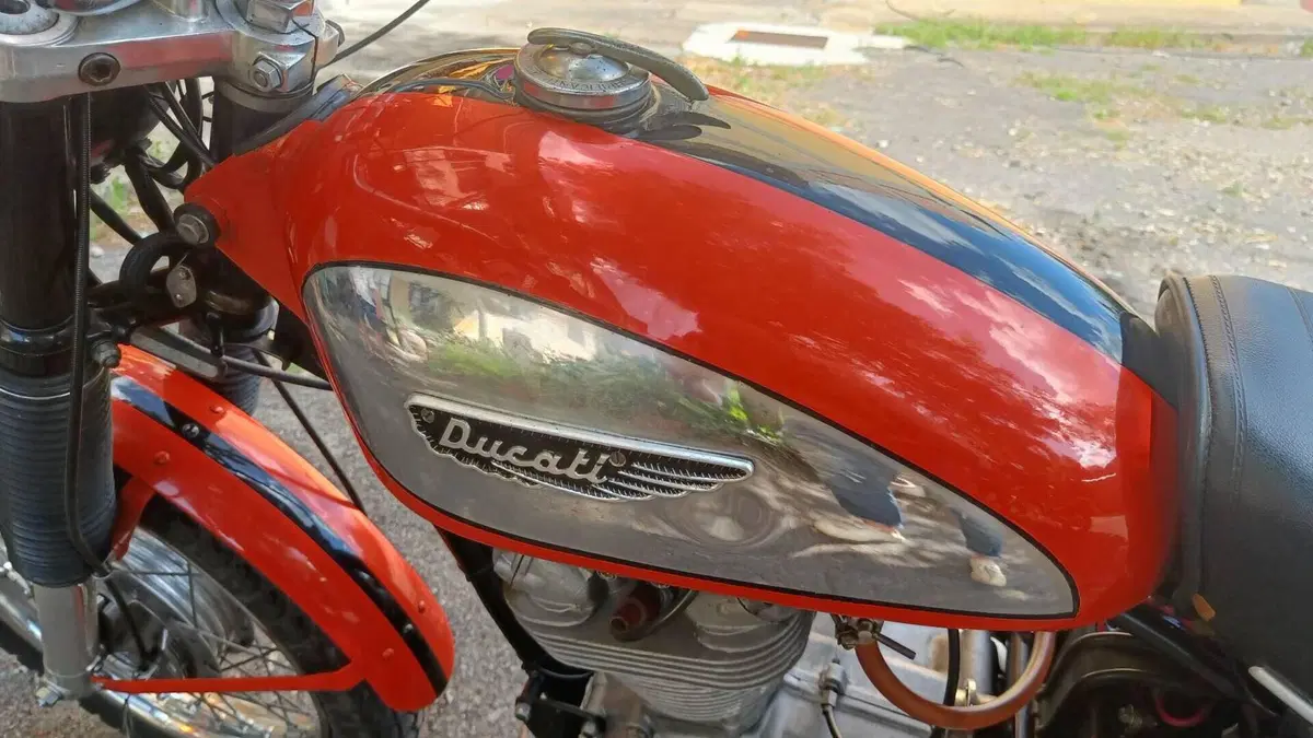 Ducati   (6)