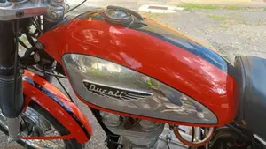 Ducati   (6)