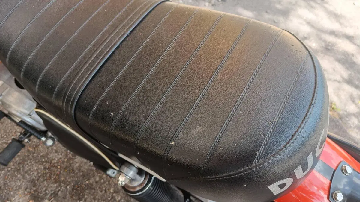 Ducati   (7)