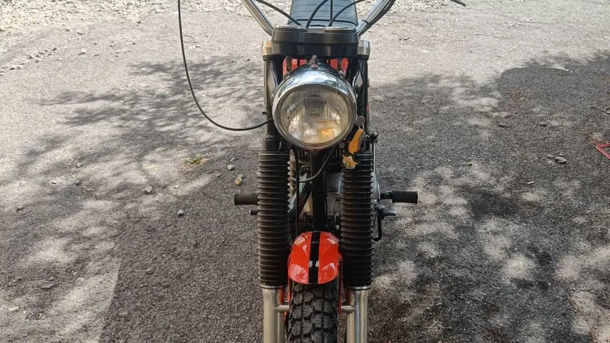 Ducati   (10)