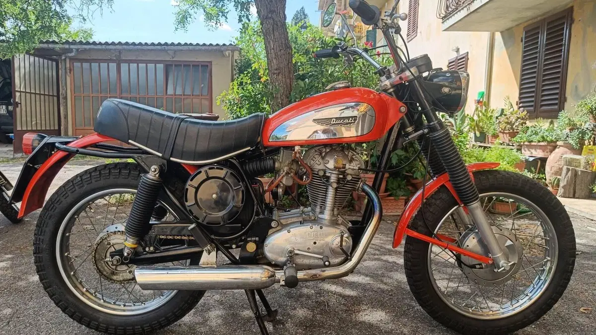 Ducati   (15)