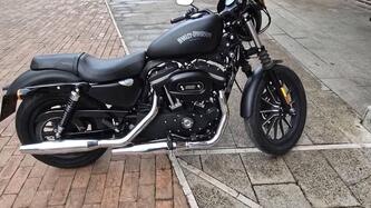 Harley-Davidson 883 Iron (2012 - 14) - XL 883N usata