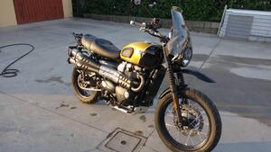 Triumph Street Scrambler 900 (2017 - 18) 
