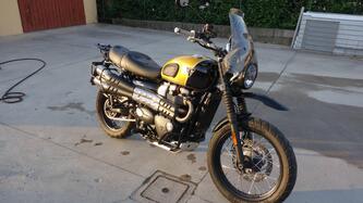 Triumph Street Scrambler 900 (2017 - 18) usata