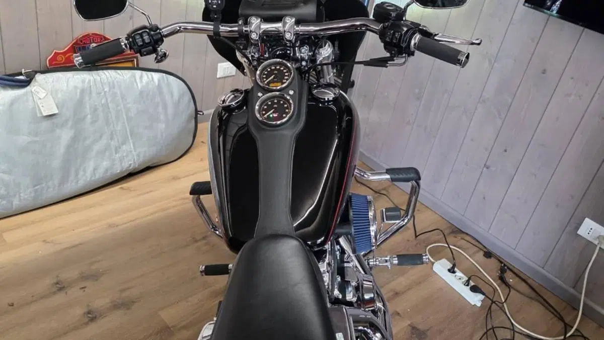 Harley-Davidson 1690 Low Rider (2014 - 17) - FXDL  (3)