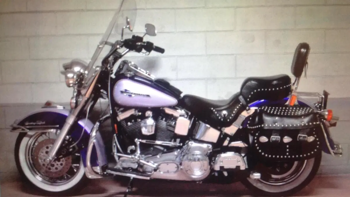 Harley-Davidson   (2)