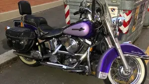 Harley-Davidson   (4)