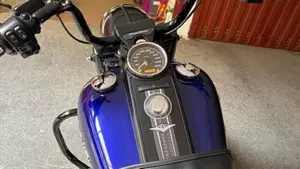Harley-Davidson 114 Road King Special (2019 - 20) - FLHR  (2)