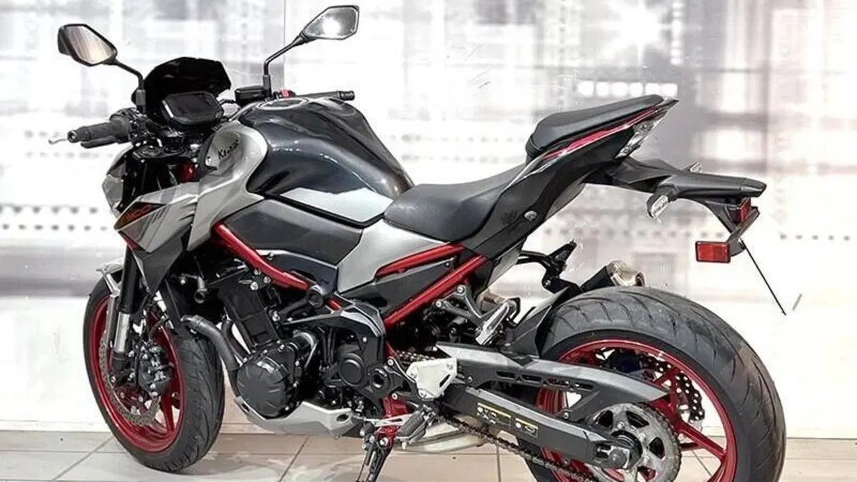 Kawasaki Z 900 A2 (2021 - 24)  (2)