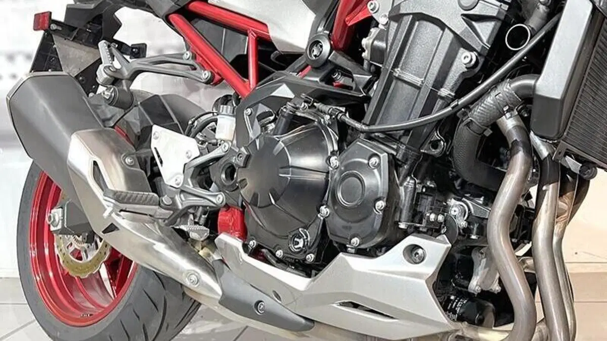 Kawasaki Z 900 A2 (2021 - 24)  (4)