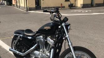 Harley-Davidson 883 SuperLow (2010 - 16) - XL 883L usata