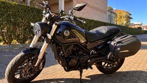 Benelli Leoncino 500 (2021 - 25) 