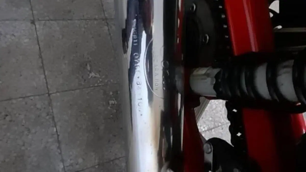 Ducati   (8)