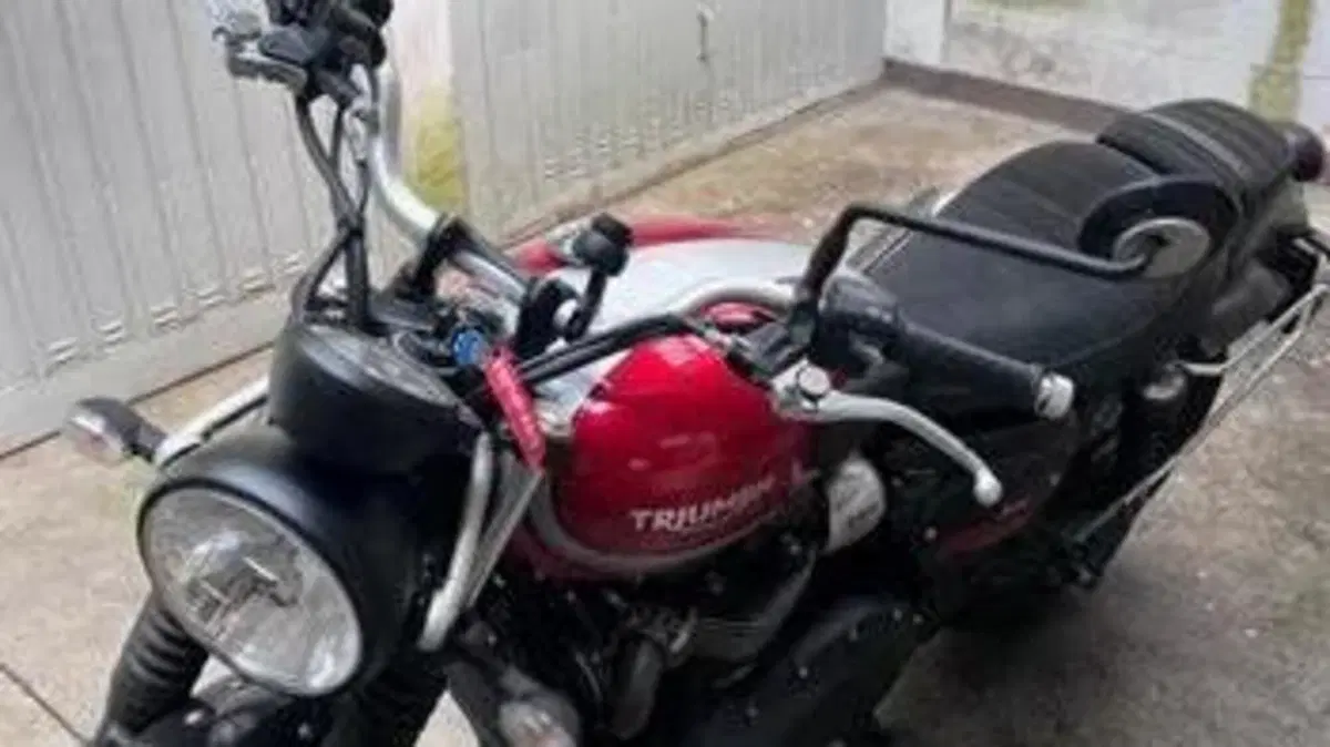 Triumph Street Scrambler 900 (2017 - 18)  (2)