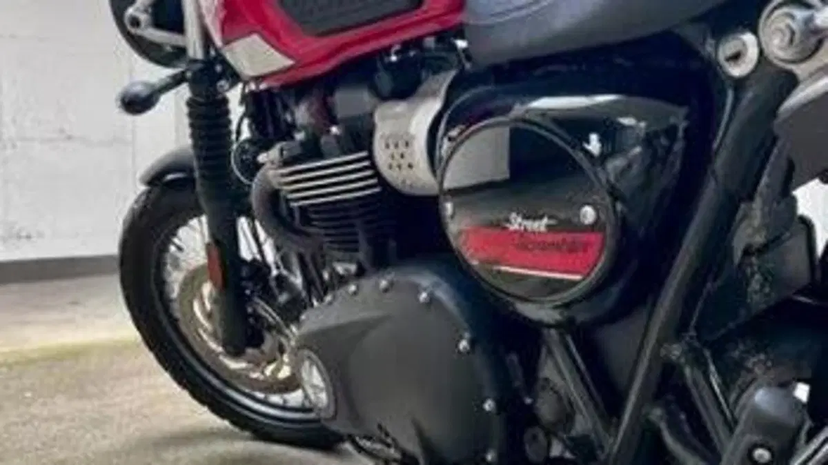 Triumph Street Scrambler 900 (2017 - 18)  (3)