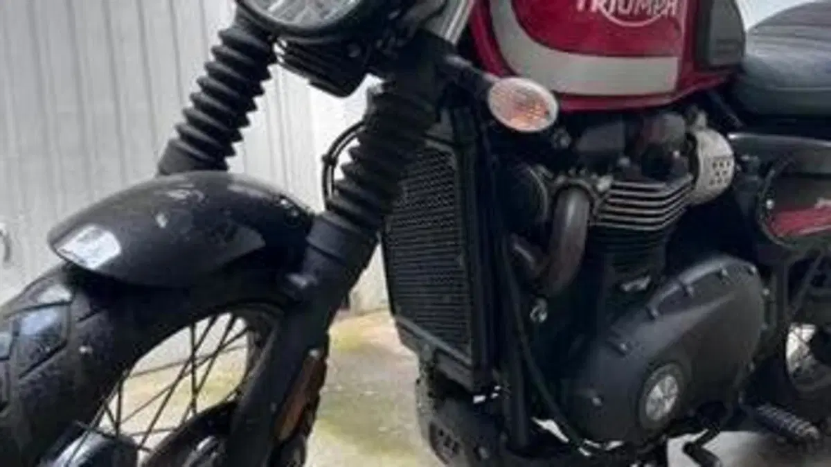 Triumph Street Scrambler 900 (2017 - 18)  (4)