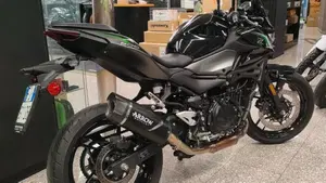 Kawasaki Z 500 (2024 - 26)  (2)